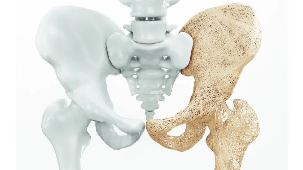 Kemik Yoğunluğu Cihazımızın kalibrasyonları ve kalite kontrolü düzenli olarak ilgili firma tarafından dünya standartlarında yapılmaktadır.